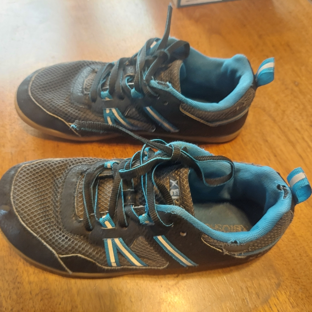 Kids Blue and Black Sneakers
